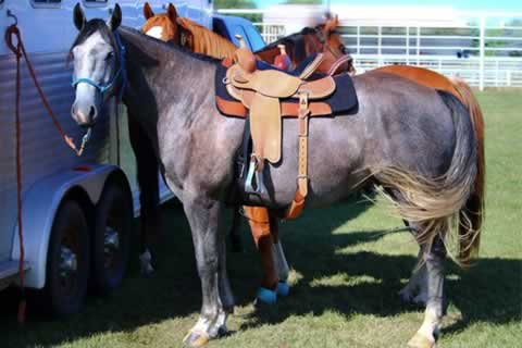 Como-atar-el-caballo-de-rutas-y-marchas-con-seguridad