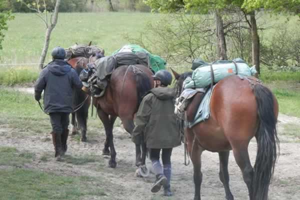 Atar el caballo con seguridad