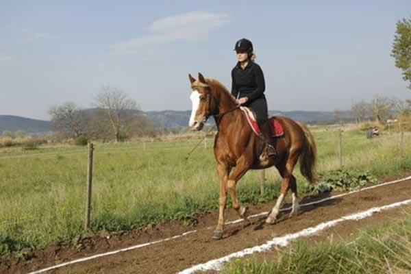 Entrenamiento del caballo y del jinete