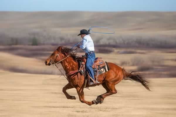 Velocidad y resistencia de los caballos