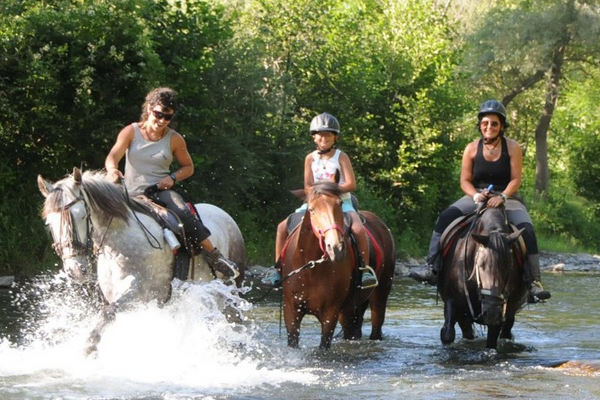 Empresas Organizadoras de rutas y viajes a caballo